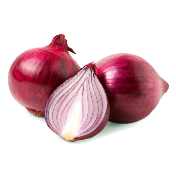 Fresh Onion