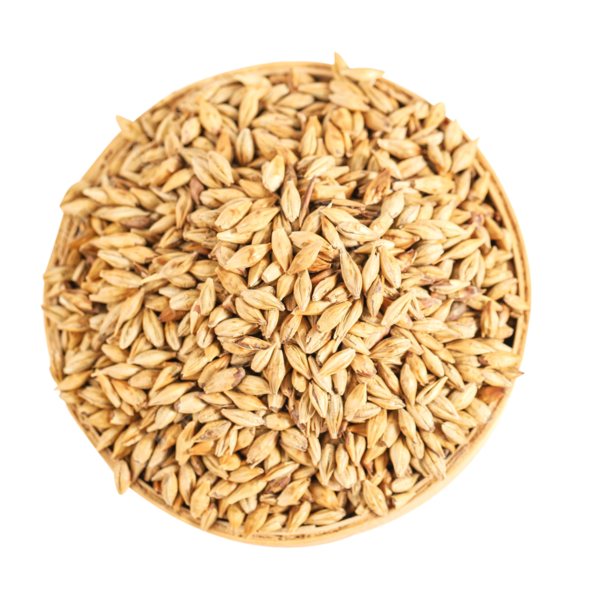 Barley Grains