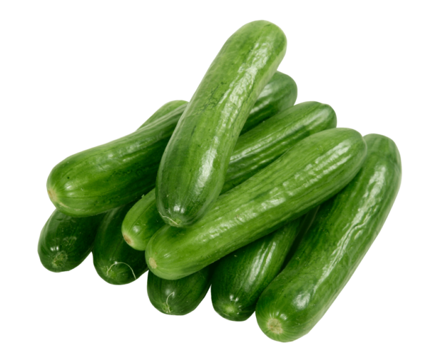 Fresh Cucumber