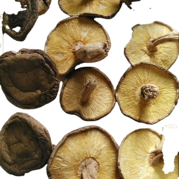 Mushrooms